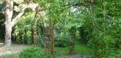 Bambou du Bois jardin